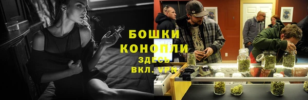 спиды Пестово